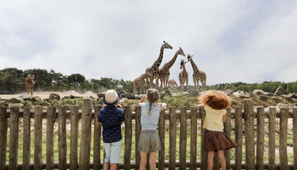 29, Natuurlijk Gelegen Nabij Efteling En Beekse Bergen, Airco & Prive Parkeren Inbegrepen! Oisterwijk Bagian luar foto