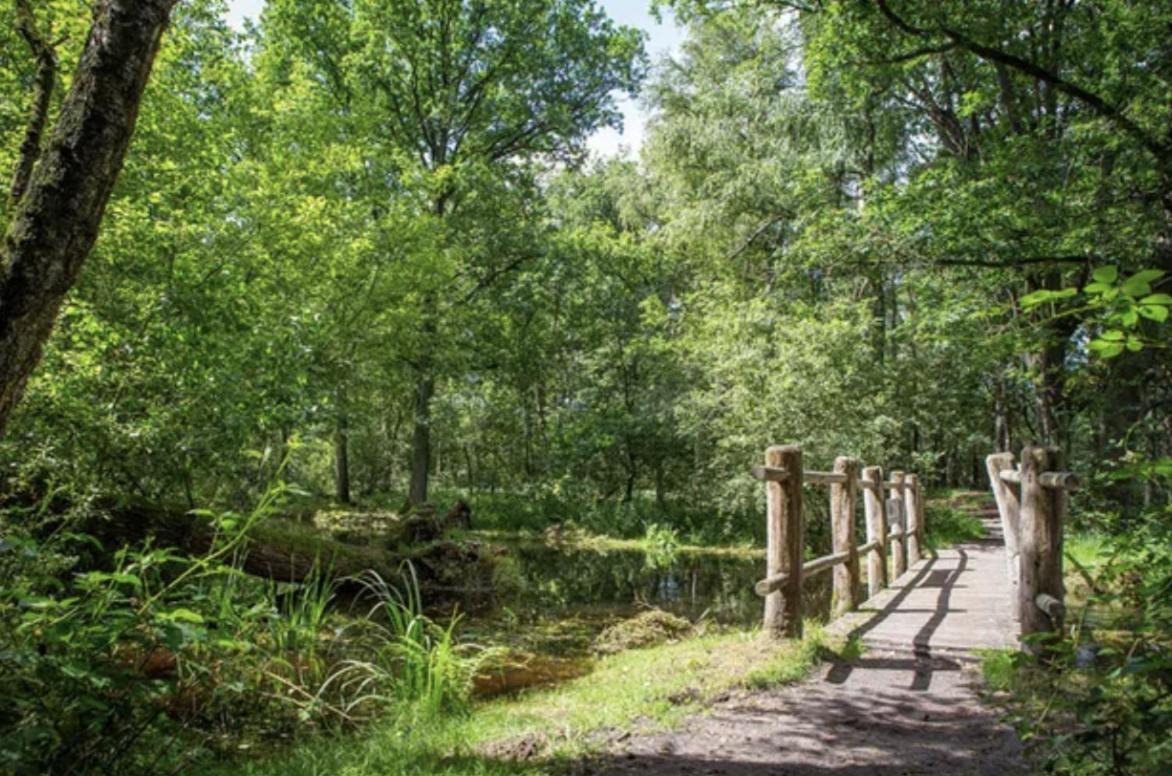 29, Natuurlijk Gelegen Nabij Efteling En Beekse Bergen, Airco & Prive Parkeren Inbegrepen! Oisterwijk Bagian luar foto